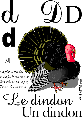 image d-dindon