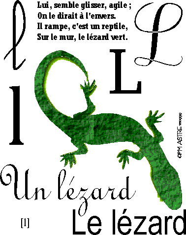 image l-lézard