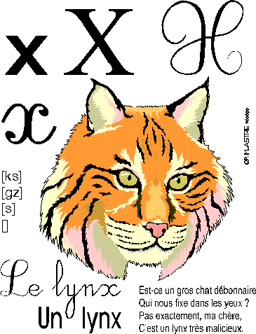 image x-lynx