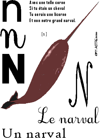 image n-narval