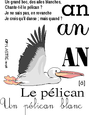 image an-pélican