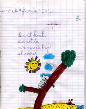 Koala Émilie