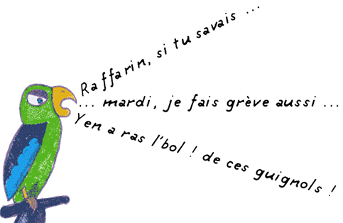 Perroquet, Matthieu 300503