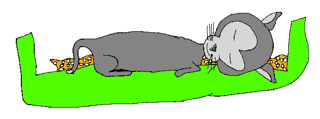 Petit chat qui dort (Matthieu 201100)